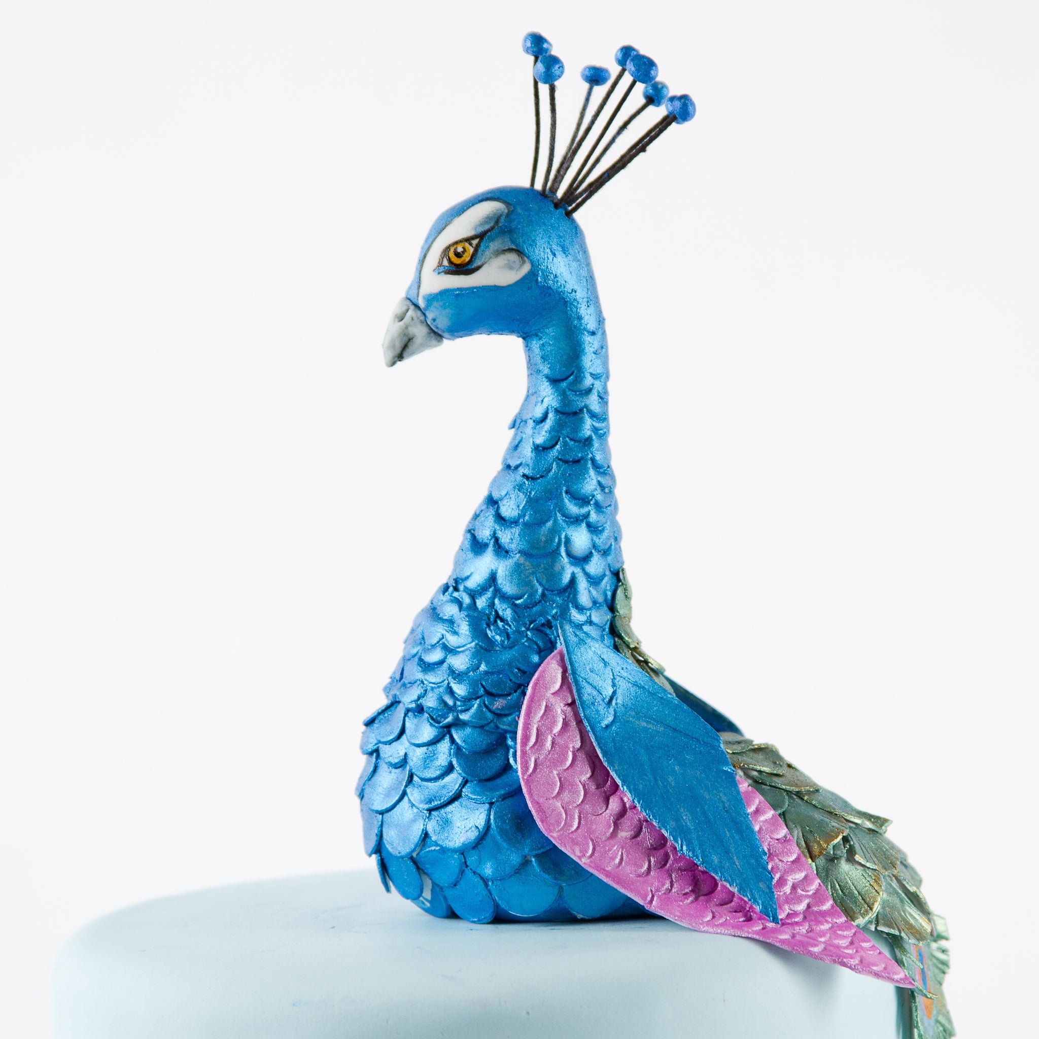 Peacock Feather Texture Sheet Set – Summit Baking Supplies
