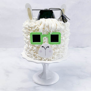Llama Face Cake Kit