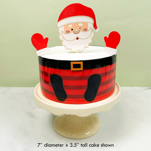 Whimsy Santa Cake Kit- Bakery Pack of 25 kits